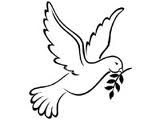 Peace Week 2013